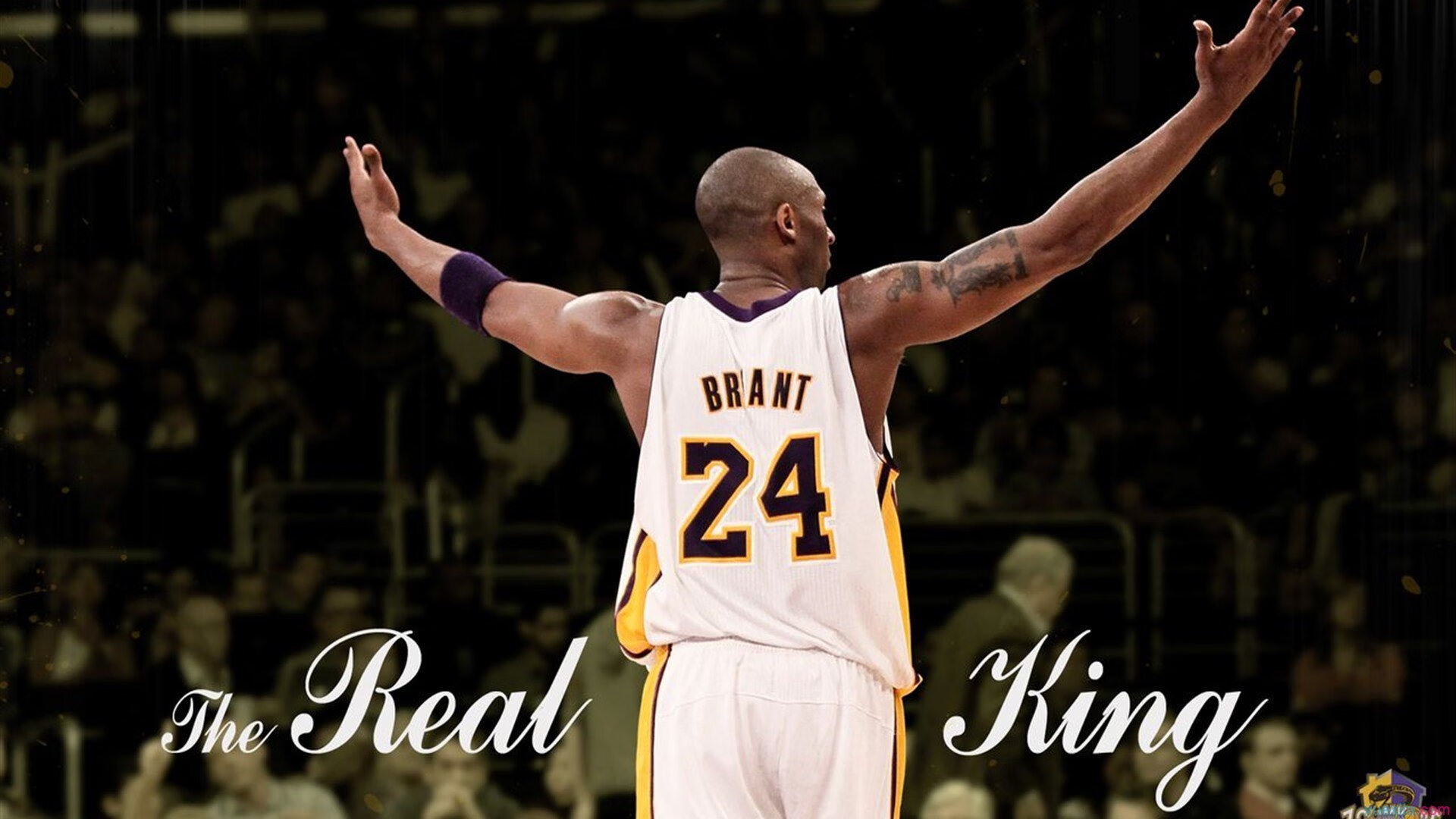 开云平台-KPL赛区粉丝互动活动热烈举行，kpl现场观众人数